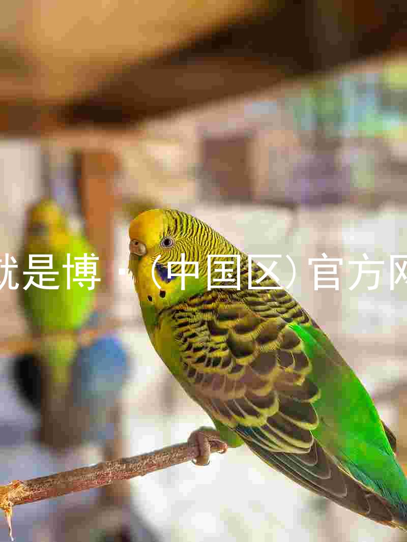 人生就是博·(中国区)官方网站z6